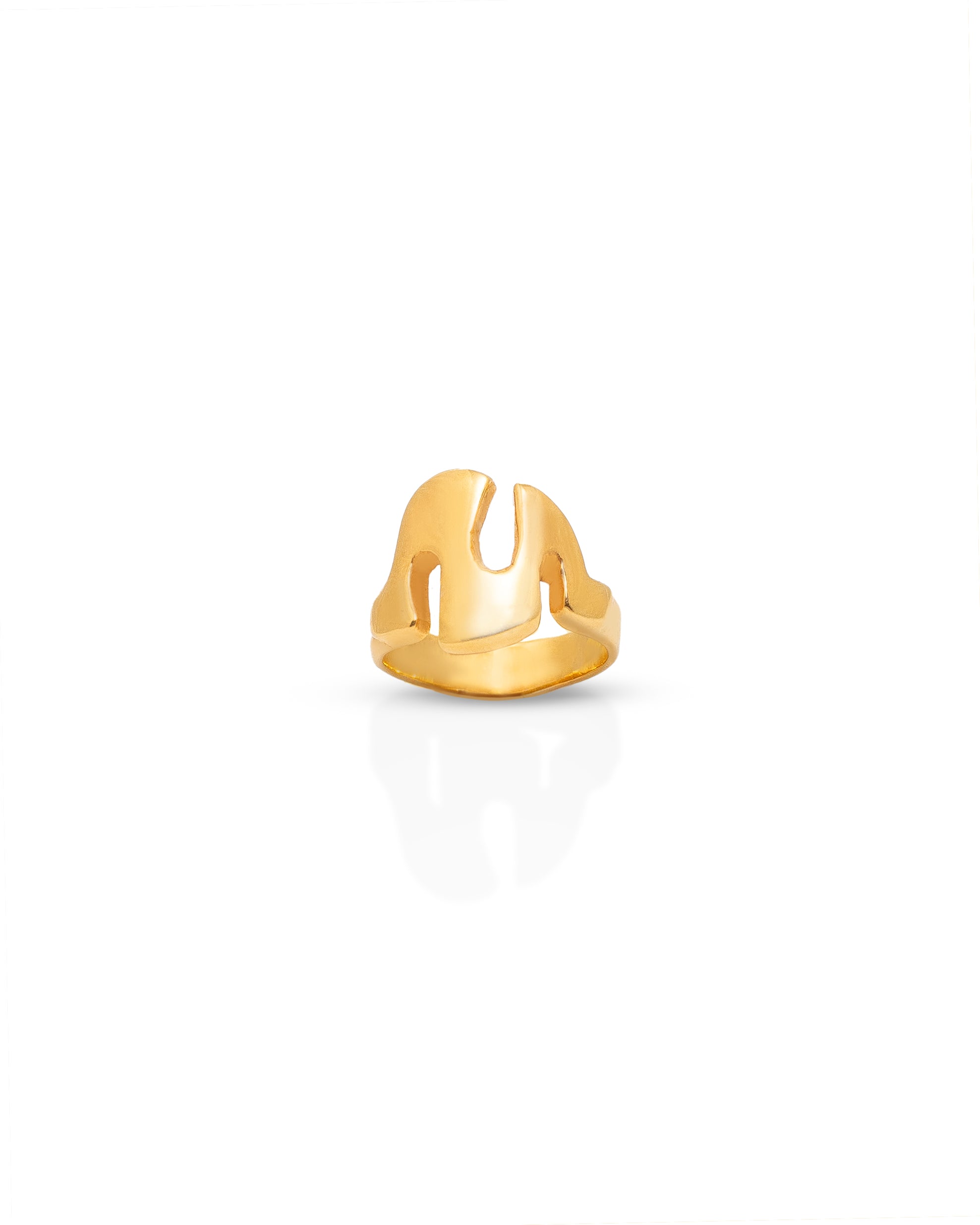 Aris Ring