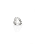 Aris Ring